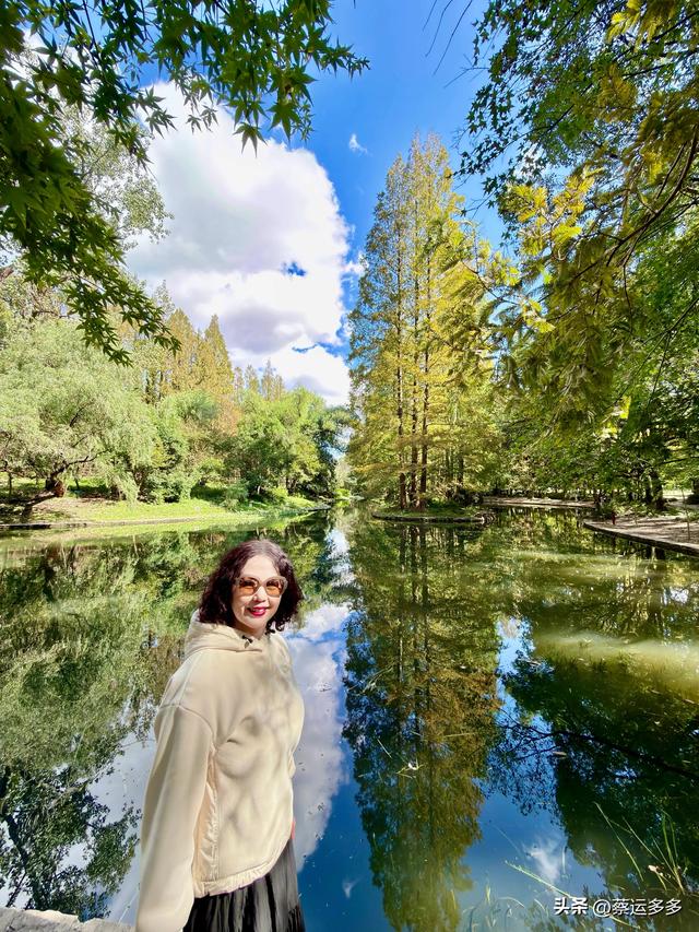 重阳节，上海赏秋之美