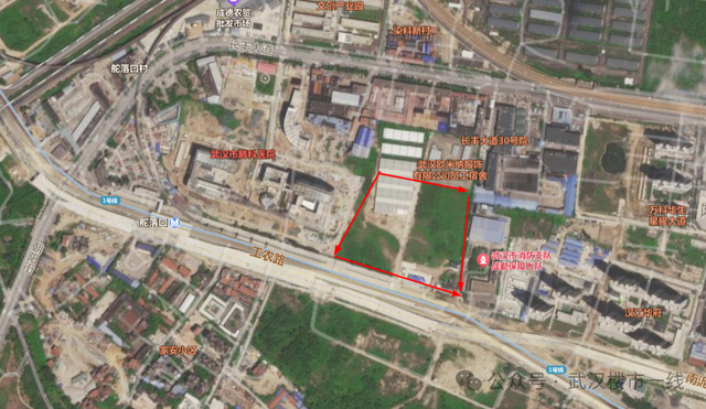 大手笔！武汉将再添一座世界级规划！