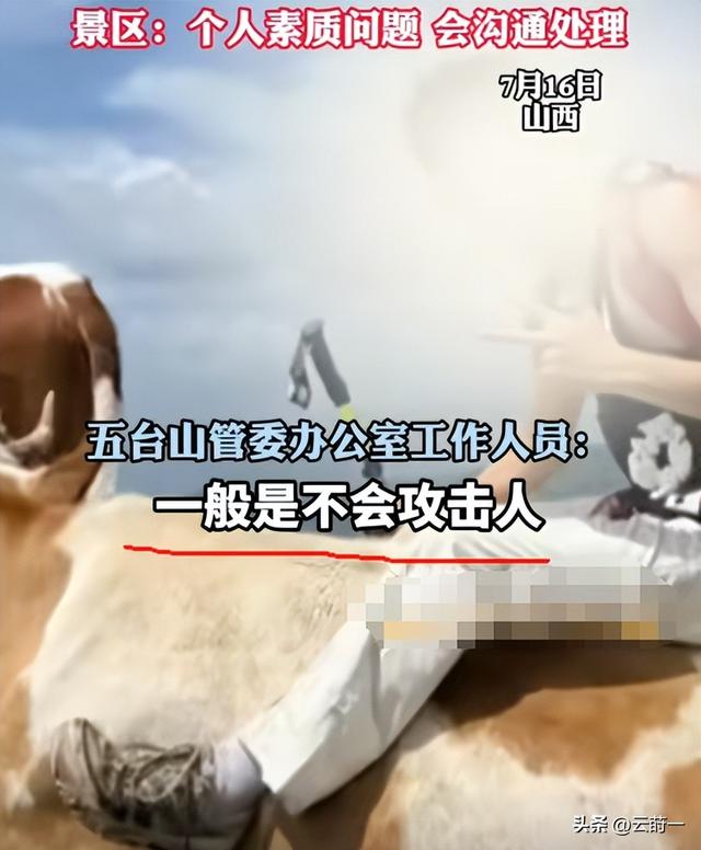 游客徒步遭牛群踩踏后续：景区回应，真相曝光后，网友直呼太活该