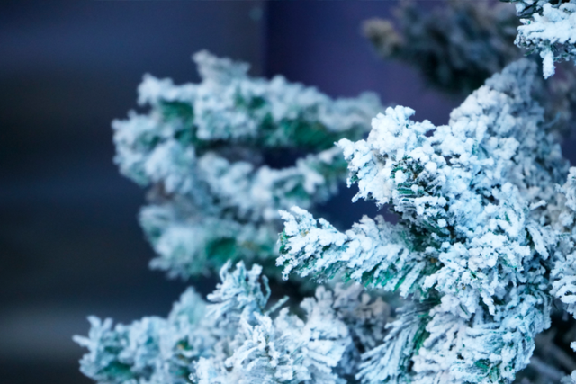 藏在歙县深渡镇的冰雪秘境，夏日消暑就来这！