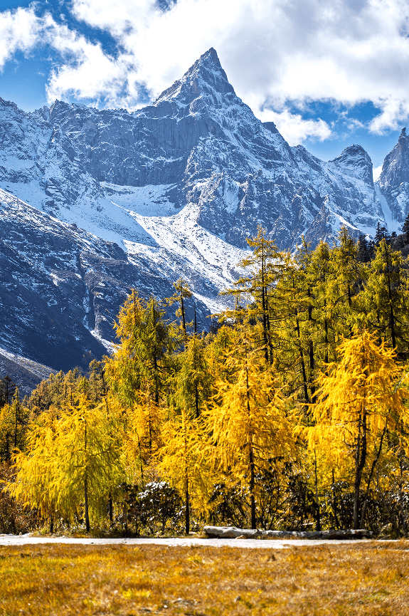 免门票丨毕棚沟献给全国师生们的秋日礼物！