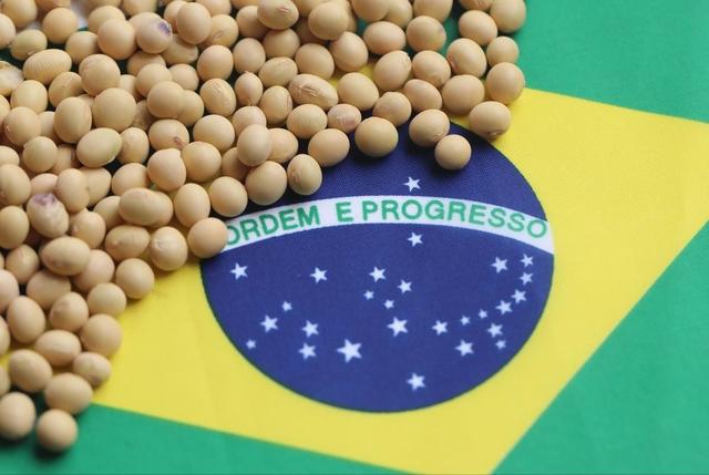 蓄意报复?巴西大豆疯涨80%，被中方下达逐客令，巴急查中国无纺布