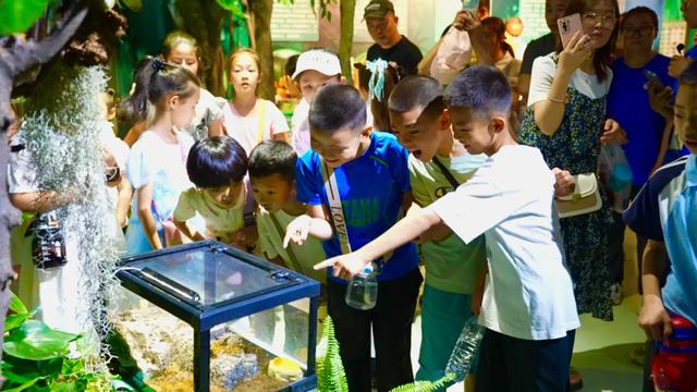跟着活动游赛罕 | 赛罕区“双节”五大类特色活动抢先看——博览赛罕 文明互鉴
