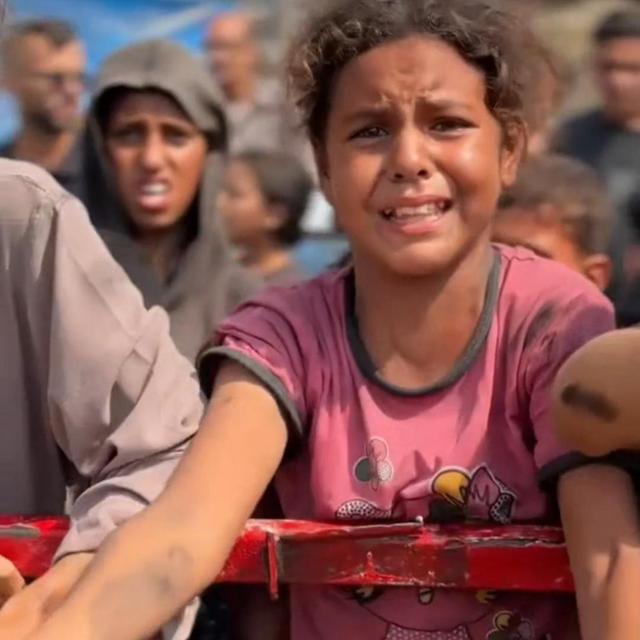 就地处决！联合国“震惊	”，英法德意四国外长发表联合声明