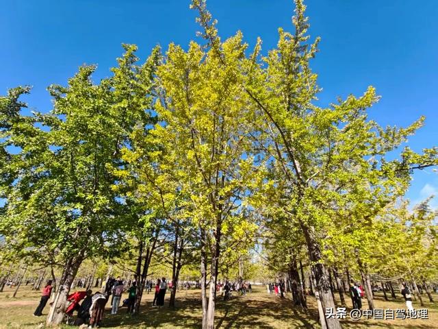 云南这条低调的超级公路，早该火了！|中国自驾地理