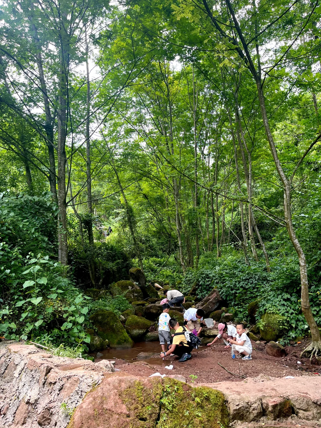 实测低9℃！成都1.5h的免费溯溪玩水遛娃路线，超安逸！