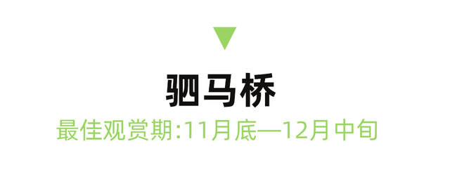 红了！成都周边18个顶级赏秋地更新！最快30min刹拢，最佳观赏期已到！速冲！
