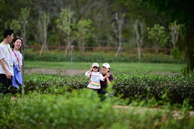 “骑”遇武夷，“徒”步寻茶 | 骑游&徒步双会联动春日招募令