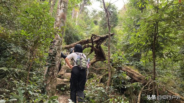 河源黄牛石象鼻石徒步穿越