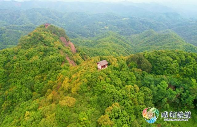 福利来了！咸阳多家景区推出→