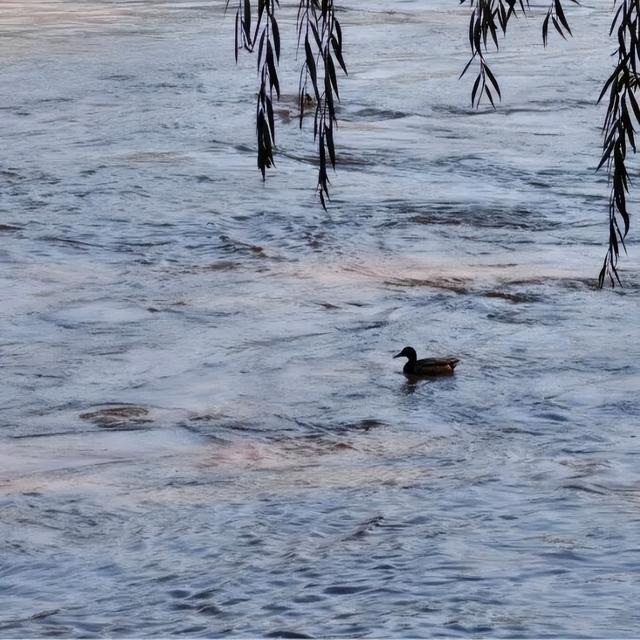 七里河畔晨光好 文明城市气象新