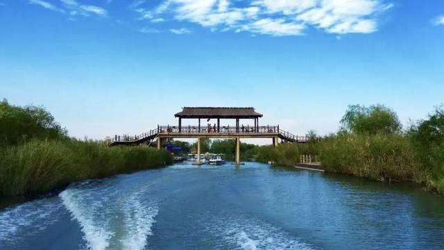洽川湿地，在自然深呼吸中找回生活本真