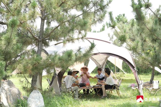 岳麓茶语山居：特色文旅 多彩体验