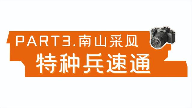 即刻出发！三款新年宝藏玩法，带你趣玩南岸