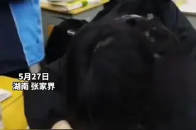 太炸裂！张家界一老师课堂爆粗口辱骂睡觉学生，要死也死在家里图片