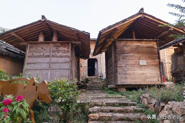 走遍浙江古村落，为了看一棵枯树，我骑行一千公里来了两趟松阳