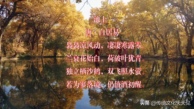 国庆长假最后一天中雨，闲坐家中品唐诗过寒露