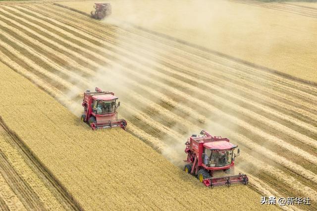 2025中国经济回眸｜筑牢发展安全根基 守住风险防控底线——解码中国经济稳健前行的底气