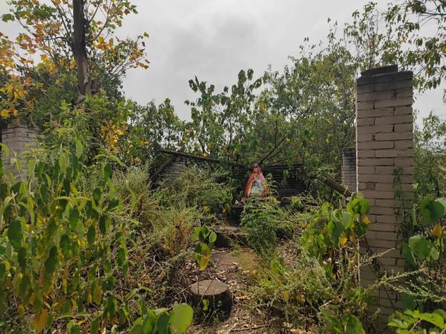 探索重庆大渡口孤岛，岛上有座千年古寺，相传是巴人立市交易之地