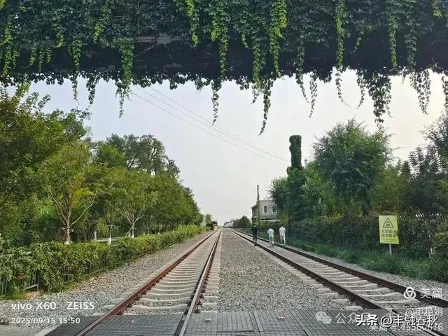 漫步西港花园：在山海之间遇见旧时光｜申艳娟