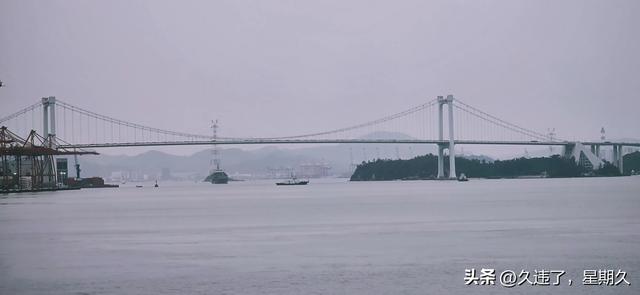 768期～船舶靠港，深入了解到船上的情况，严峻形势不容乐观