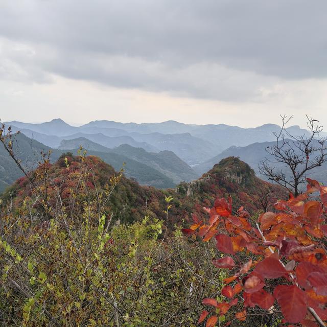 爬山有感，学会选择懂得放弃