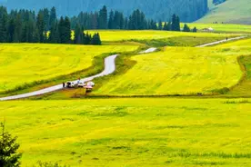 新疆色卡九宫格图片