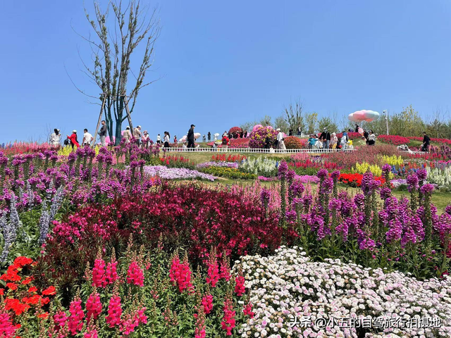 烟台炸裂攻略！2025本地人私藏的十大景点+五大美食，错过亏哭