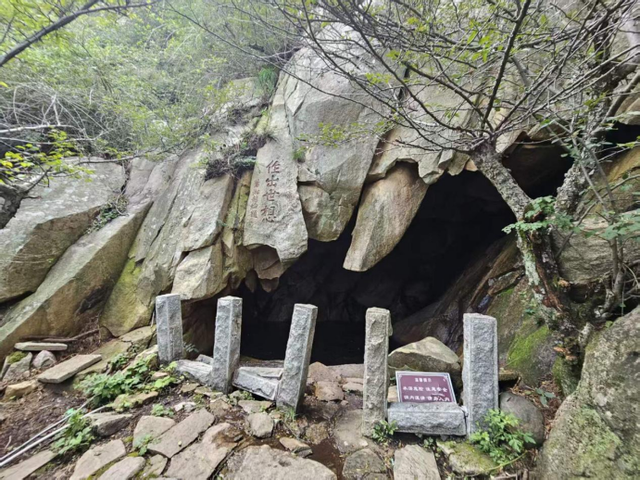 夏游泰山记