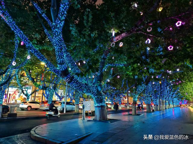 在邯郸住三天，每天餐后在邯郸这家花园式酒店院子里散散步真惬意