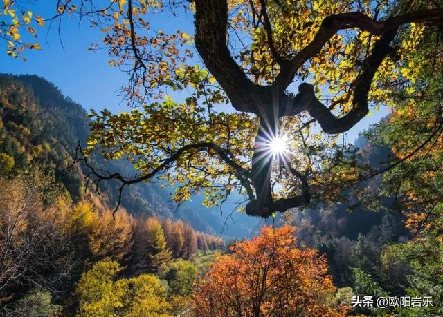 是什么让资深驴友每年秋天都偷偷跑去川西？？