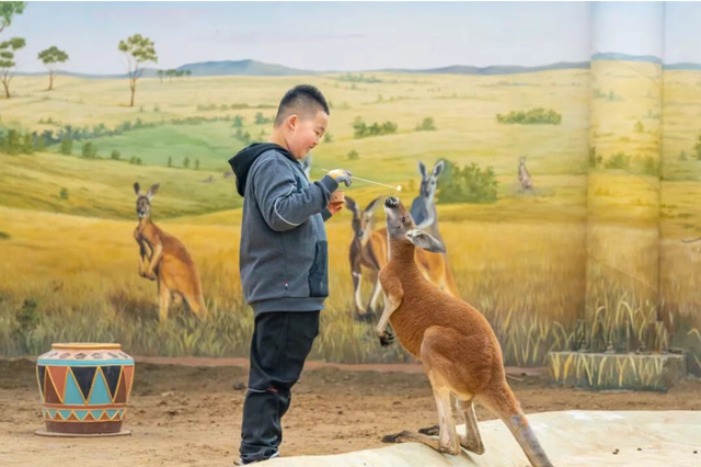 山东有自己的“疯狂动物城”！