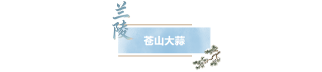 临沂人游临沂｜赶兰陵千年大集，赴一场烟火与诗意的约会