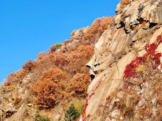 吉林市丰满区：山水相依秋意浓