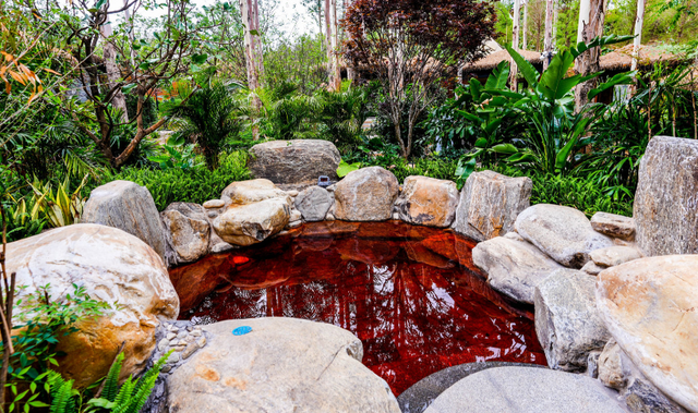 首次发布！弥勒2地2酒店上榜！