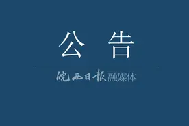 中共六安市委组织部公告图片