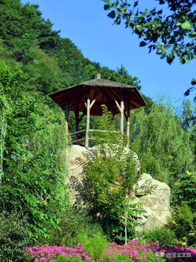在河北，藏着一处令人心驰神往的山野游乐打卡地​，周末就出发！