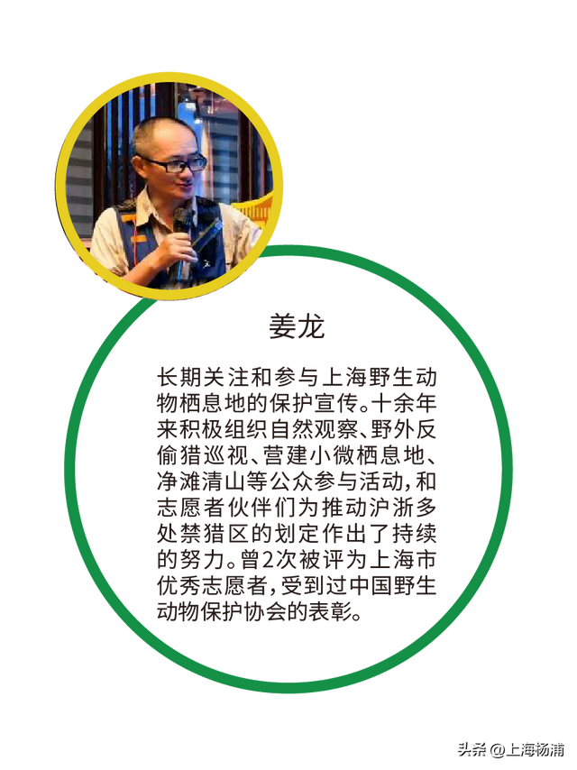 复兴岛船台公园正式开放！长假登岛攻略→