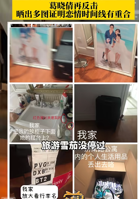 代孕只是“冰山一角”！张雨绮更多猛料被扒出	，放纵的代价太大