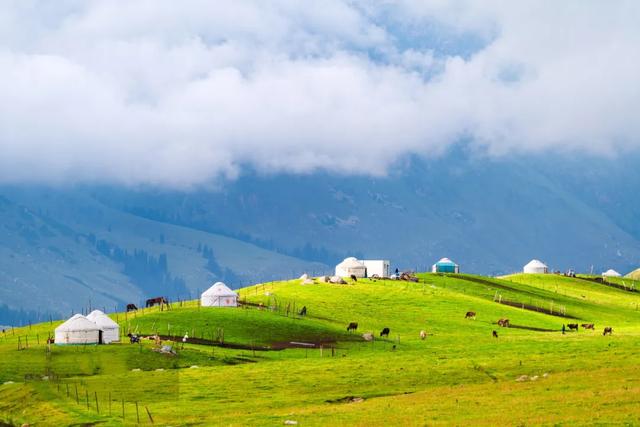 草原花海,塞外江南——超全新疆伊犁旅游攻略