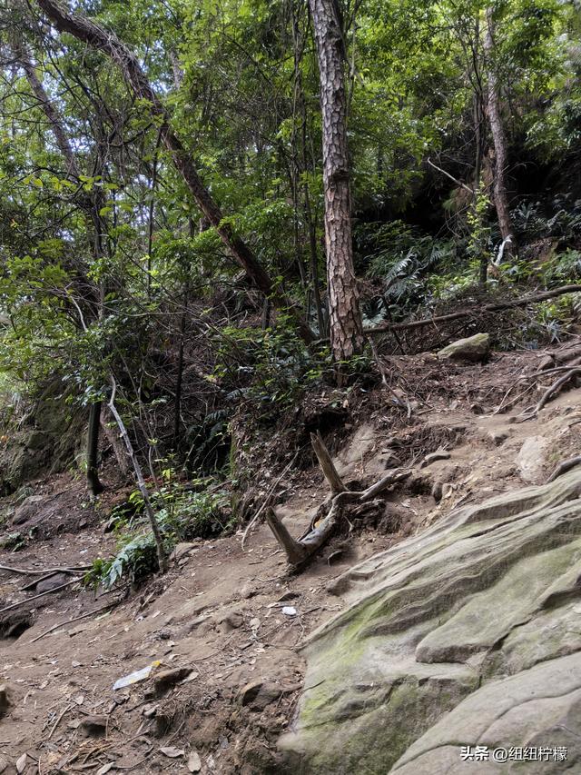 爬山，要量力而行，安全第一，爬歌乐山911更需如此