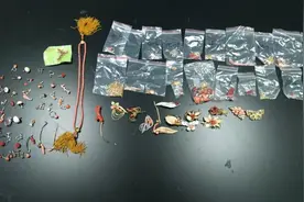 广州海关截获“千年灵物”红珊瑚！百年难长一寸，被誉为红色黄金图片