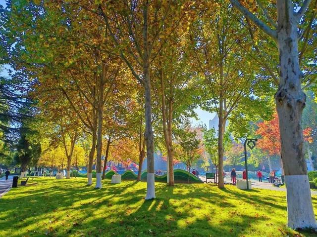 来淄博“捡秋”！海岱楼、周村大街…全被捡出来了→