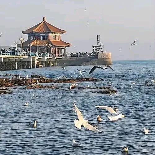 山东青岛旅游攻略:海滨城市的魅力与精彩