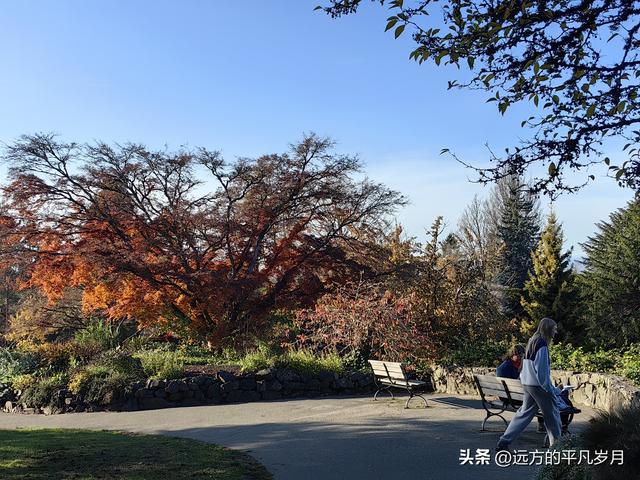 温哥华游记（六）