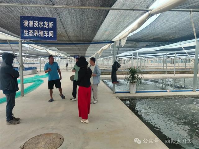 泽普，何以不凡？