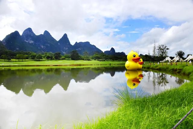 桂林:小黄鸭飞进桂海晴岚!