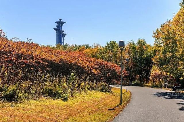 北京奥林匹克森林公园 城市中的绿色明珠