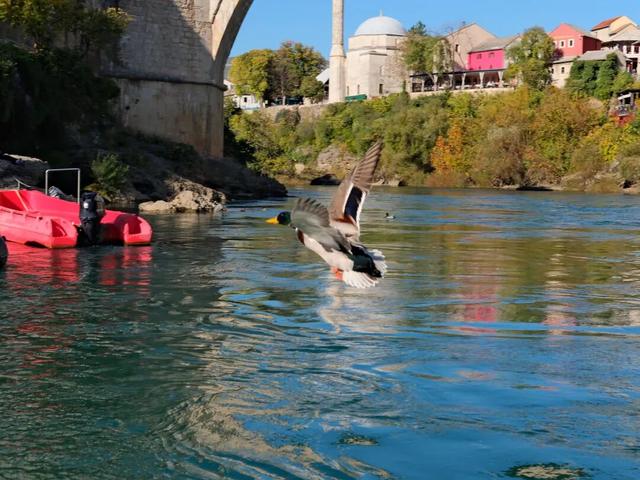 莫斯塔尔，一种欧洲和平的可能？