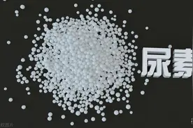 尿素红糖肥水的比例应如何配比？图片